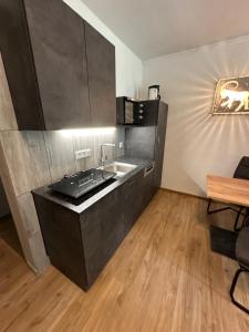 Kuchyň nebo kuchyňský kout v ubytování Apartment Haus am See