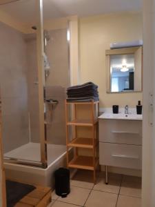 a bathroom with a shower and a sink and a mirror at "La maison du pêcheur" - De l'espace à 2mn de la mer - 58m2 - 6max in Étretat