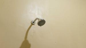 a shower with a shower head on a wall at Orangutan Treks Villa & Eco-Friendly Jungle Trekking Activities in Timbanglawang