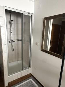 a bathroom with a shower with a glass door and a mirror at BIO-Bauernhof Hatzbauer in Maria Alm am Steinernen Meer +97 photos