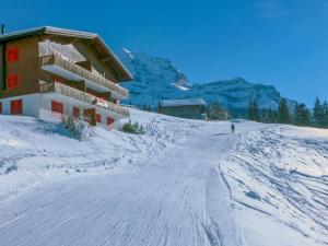 冬天的Jungfraujoch, Chalet Ski In&Out, Wengen, Valley view