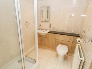 ein Badezimmer mit Toilette, Waschbecken und Dusche in der Unterkunft Barn Cottage in Spittal + 16 Fotos