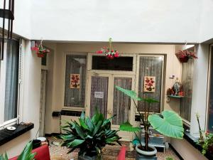 une maison avec des plantes devant une porte dans l'établissement hotel saint fracois xavier, à Lourdes