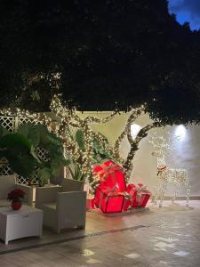 Zahrada ubytování Villa Angelica - Casa Vacanze