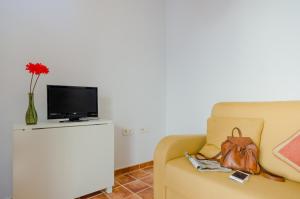 Gallery image of Apartamento Junquera in Conil de la Frontera