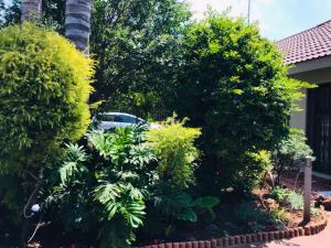 a garden with trees and plants in a yard at La Gracia Guesthouse in Vanderbijlpark