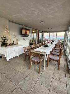 TV a/nebo společenská místnost v ubytování Halta Pescăruş Accommodation