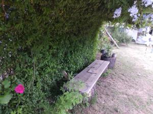 un banco sentado junto a un seto con una flor rosa en Siempre bien, en Balneario Buenos Aires