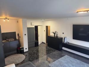 Televízia a/alebo spoločenská miestnosť v ubytovaní Apartment Vienna