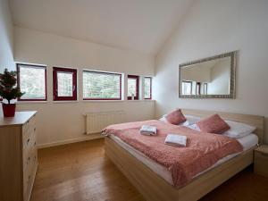 Un dormitorio con una cama grande y un espejo. en Chalet Harrachov by Interhome, en Harrachov