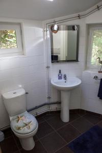 een badkamer met een toilet en een wastafel bij Moulin De Villesaint in Faux-la-Montagne