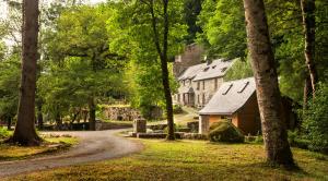 uma casa na floresta com uma estrada que leva a ela em Moulin De Villesaint em Faux-la-Montagne