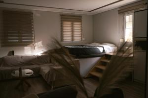 a living room with two beds and a couch at Εμμέλεια in Karpenisi
