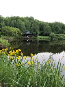 a pond with a cabin in the background with yellow flowers at Будинки рибалки in Sudovaya Vishnya