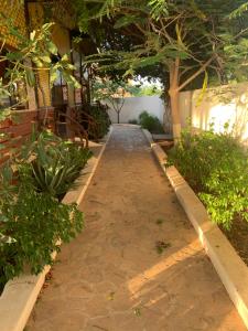 Giardino di Tropikal House Facing Ocean