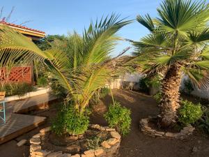 Giardino di Tropikal House Facing Ocean