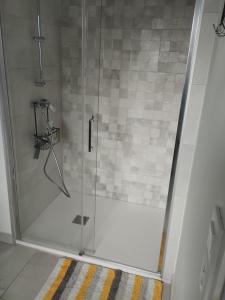 prysznic ze szklanymi drzwiami w łazience w obiekcie Appartement a proximité du centre et de la Plage a Meze w mieście Mèze