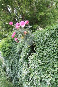 Afbeelding uit fotogalerij van Casa Adele in Torrile