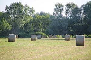 Afbeelding uit fotogalerij van Casa Adele in Torrile