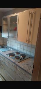 Kuchyň nebo kuchyňský kout v ubytování Alpine flat