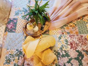 Hamilton HillRoom in Guest room - Private room in a charming Hampton-style home Ten minutes from Fremantle Port的相册照片