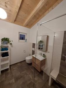 a bathroom with a toilet and a glass shower at Ferienwohnung Zimmerle in Pflach