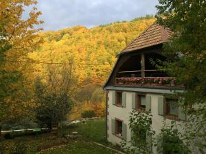 a house with a roof with trees in the background at La Pierre d'Eau in Fréland