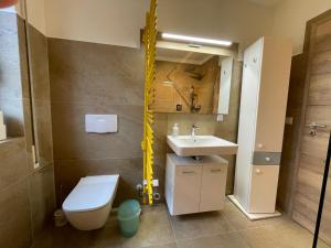 a bathroom with a toilet and a sink at FeWo Wünschendorf in Dürrröhrsdorf +31 photos