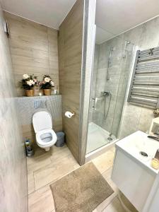 a bathroom with a toilet and a shower and a sink at Domek nad jeziorem Czorsztyńskim Velo in Frydman
