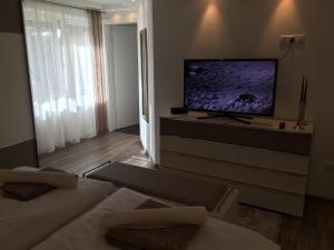 A television and/or entertainment centre at Leiner Apartman