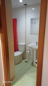 a small bathroom with a toilet and a sink at Apartamentos Sierra in San Isidro