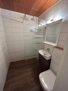 a bathroom with a white toilet and a sink at Ferienhaus Vier Jahreszeiten in Frauenwald +39 photos