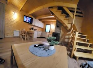 TV a/nebo společenská místnost v ubytování Domki Jagodna-Spalona 6D jacuzzi