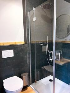 a bathroom with a shower with a toilet and a sink at Nomad Nest in Michelbach an der Bilz +26 photos