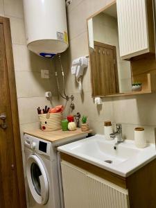 a bathroom with a sink and a washing machine at Mavrovo_apt4 in Mavrovo