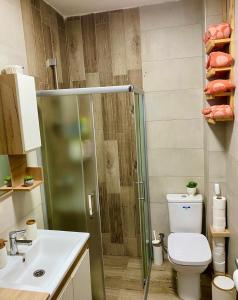 a bathroom with a shower and a toilet and a sink at Mavrovo_apt4 in Mavrovo