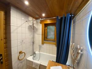 Bilik mandi di LE GRAND CERF Chalet en rondins avec SPA Jacuzzi