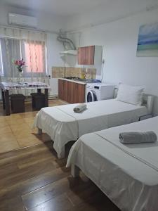 Ένα ή περισσότερα κρεβάτια σε δωμάτιο στο Vila Gherghisan