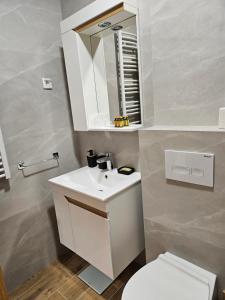 bagno con lavandino bianco e servizi igienici di Apartman Leon a Temerin Altre 5 foto