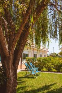 Κήπος έξω από το Residence Villaggio Alemia