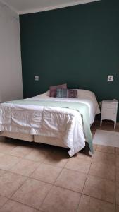 a bed in a bedroom with a green wall at Chacabuco 386 in Santiago del Estero