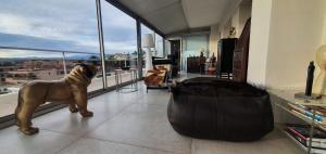 Domáce zviera alebo zvieratá hostí v ubytovaní Villa sur le toit - Vue mer exceptionnelle