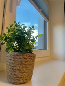 Fotografie z fotogalerie ubytování Foxhome v destinaci Olching
