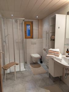a bathroom with a toilet and a shower and a sink at Haus Walch in Pettneu am Arlberg