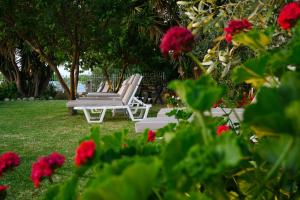 Eine Reihe Liegestühle in einem Garten mit roten Blumen in der Unterkunft Erofili Hotel in Kavos + 83 Fotos