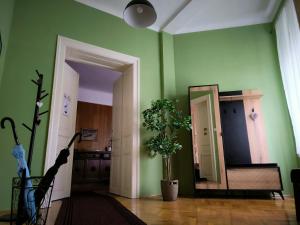 Kuchyňa alebo kuchynka v ubytovaní Konzul -Top apartment, strict center, parking