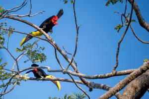 Φωτογραφία από το άλμπουμ του Casa Oh - Oceanview Guesthouse σε Uvita