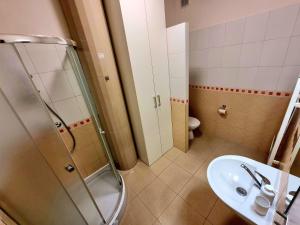 a bathroom with a shower and a sink and a toilet at Turecka 49 Apt 1 in Nové Zámky +3 photos