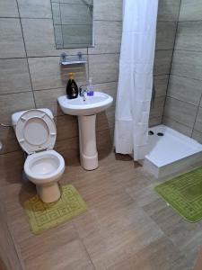 Ένα μπάνιο στο Prelungirea Ghencea Apartments