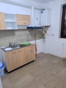 Η κουζίνα ή μικρή κουζίνα στο Prelungirea Ghencea Apartments